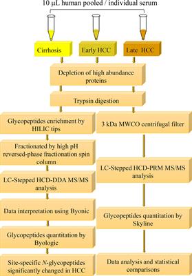 A Fucosylated Glycopeptide as a Candidate Biomarker for Early Diagnosis of NASH Hepatocellular Carcinoma Using a Stepped HCD Method and PRM Evaluation